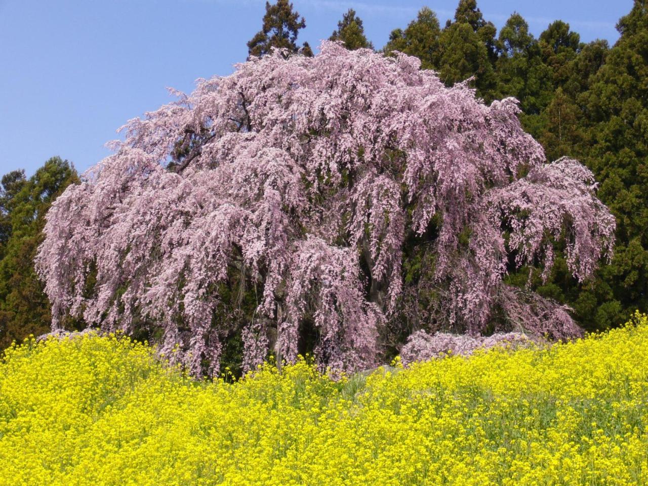 Azumakan Nihonmatsu Exteriör bild